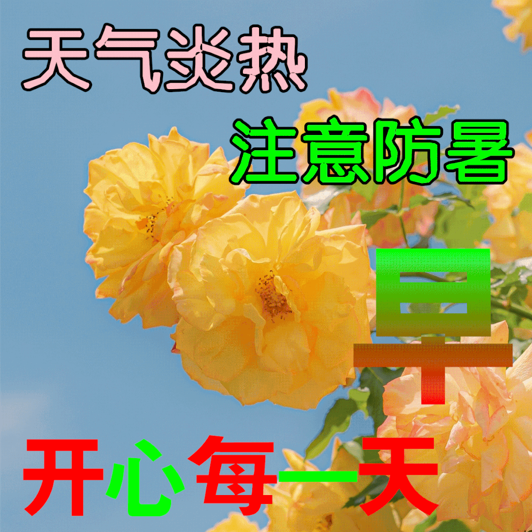 2024温馨的早晨好动态表情图片天气炎热注意防暑