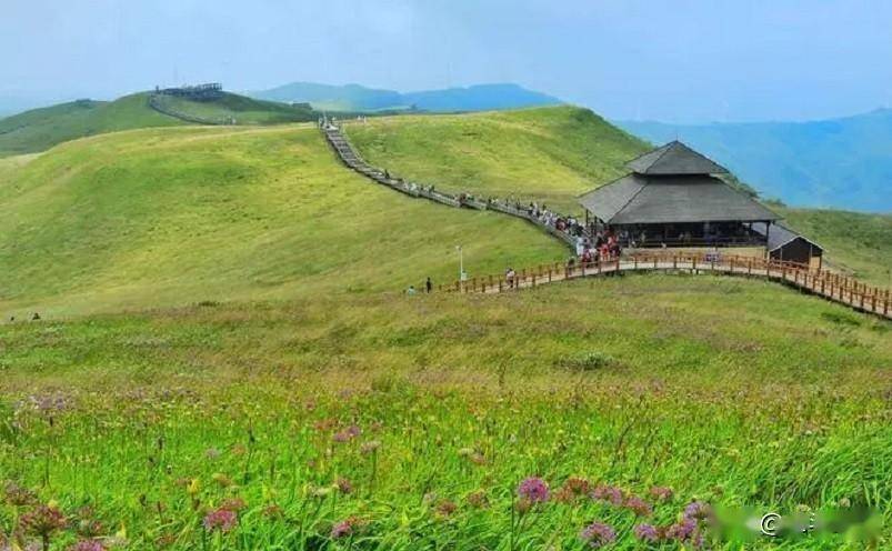 每到秋季,万亩韭菜花竞相开放,与青山,蓝天和白云共同构成贵州屋脊上