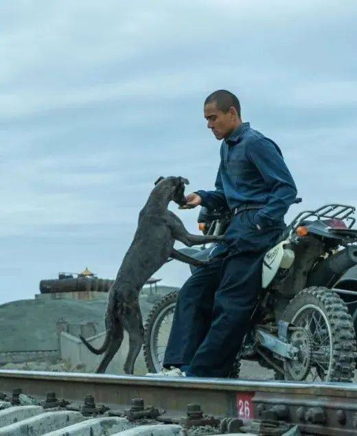 《狗阵》彭于晏与黑狗互相救赎"再上路"的生命力直击人心!