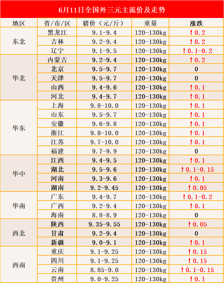 每日最新热点6月11日五月初六带你一分钟了解行业资讯猪仔价格猛涨,7