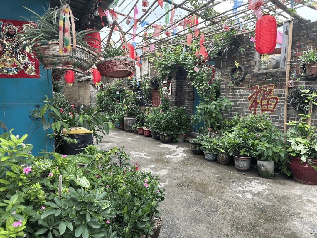 【绿美鹤山】址山镇:宜居宜赏,"美丽庭院"点靓乡村"新颜值"