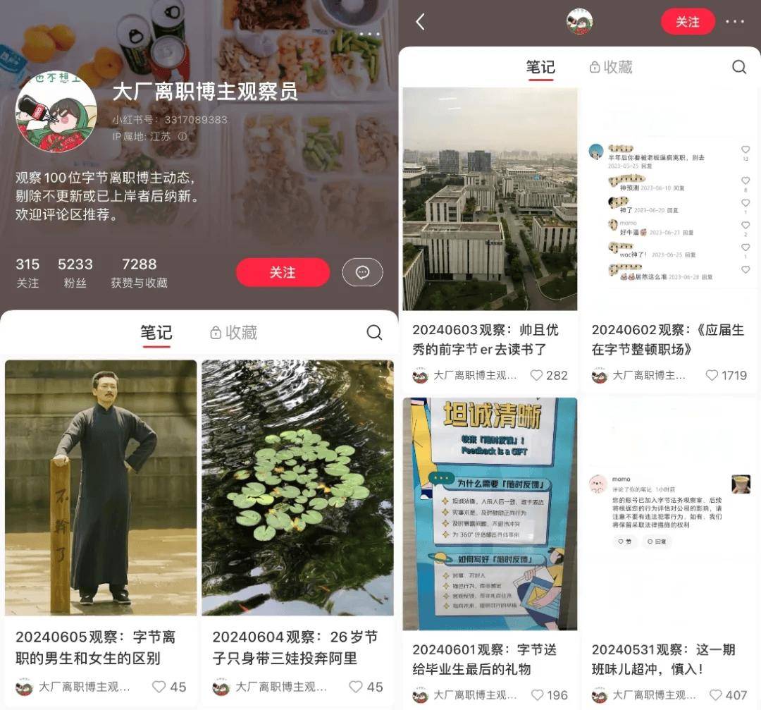 离职博主,2024最不靠谱赛道?