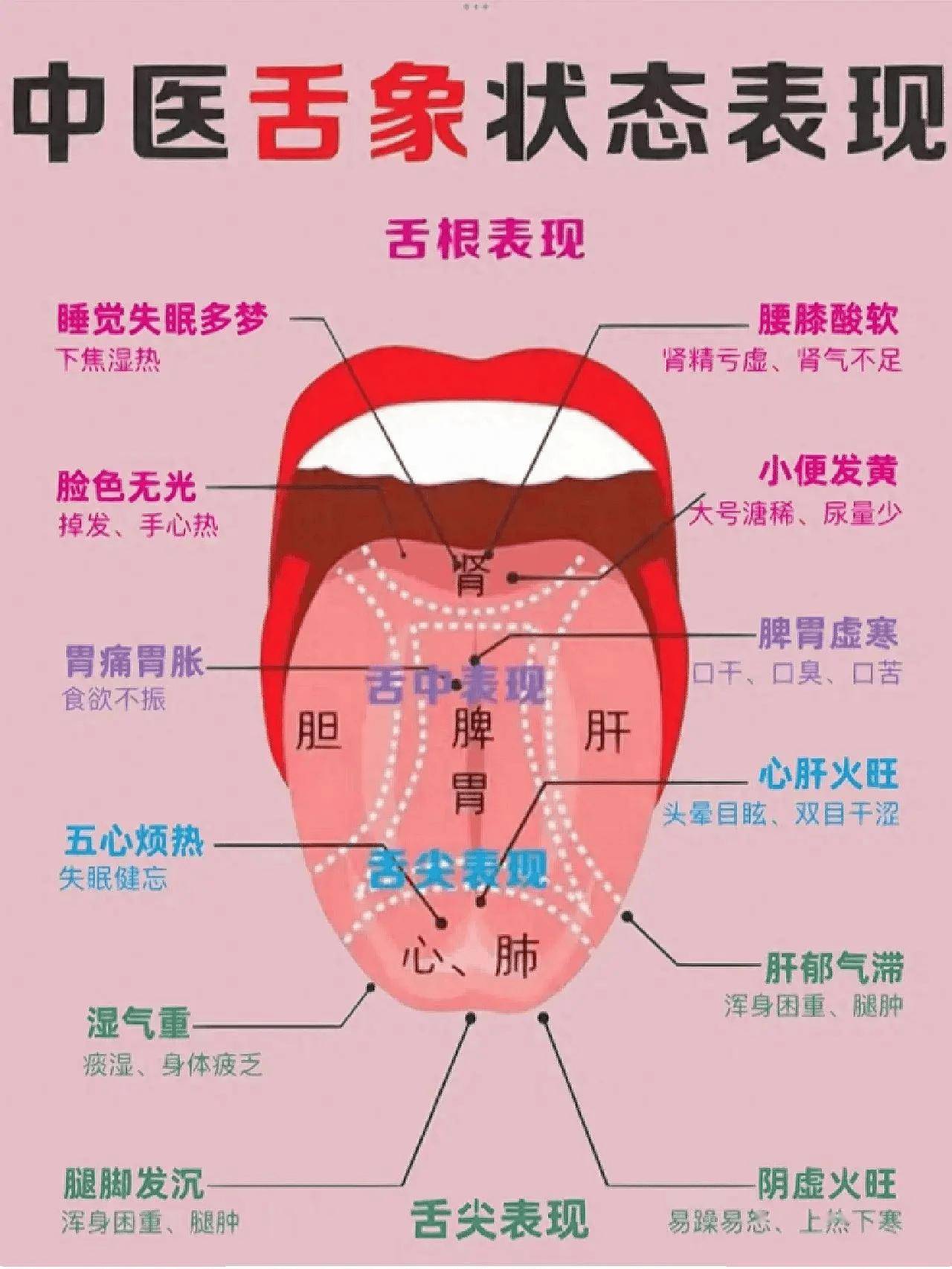舌根状态泄露健康秘密中医教你读懂舌象