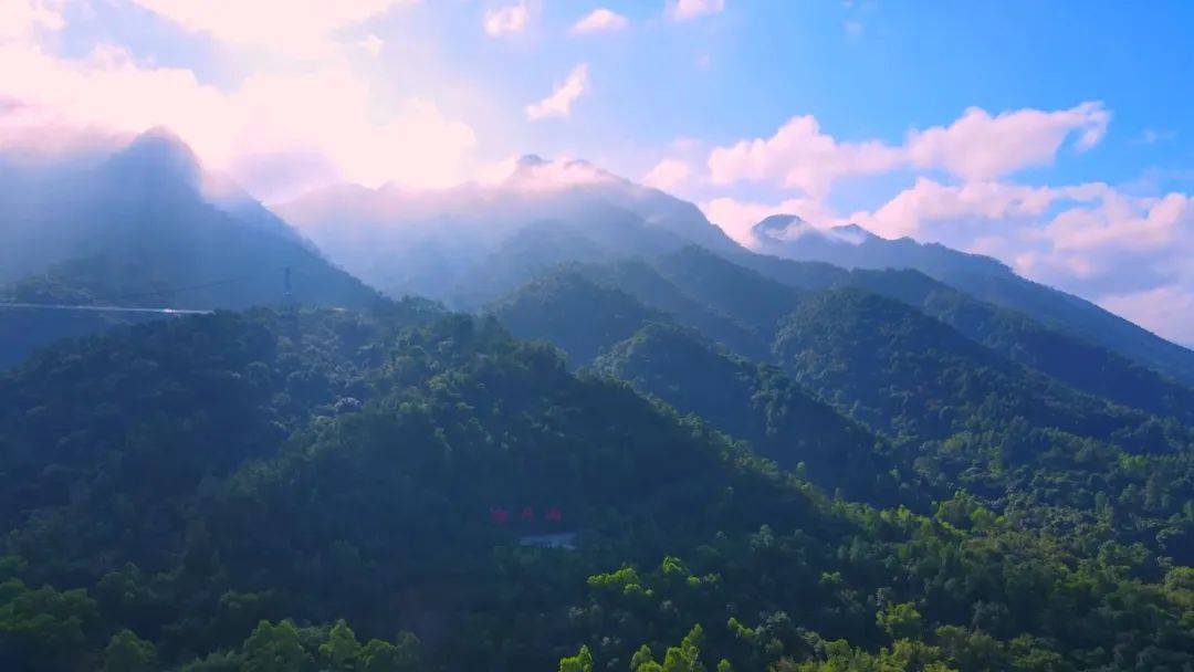 南丹山森林王国对大中学生免门票!