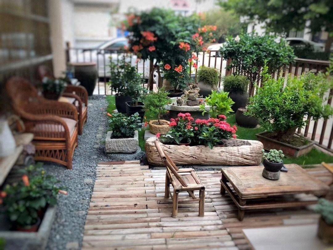 5种果树,养院子里,好吃好养又吉祥,人旺财运旺_种植_技巧_果子