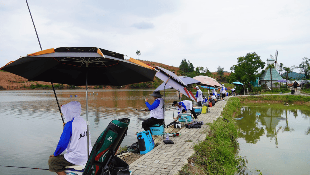 看这里,宜丰都给你安排好了_江西省_中国_乡村旅游