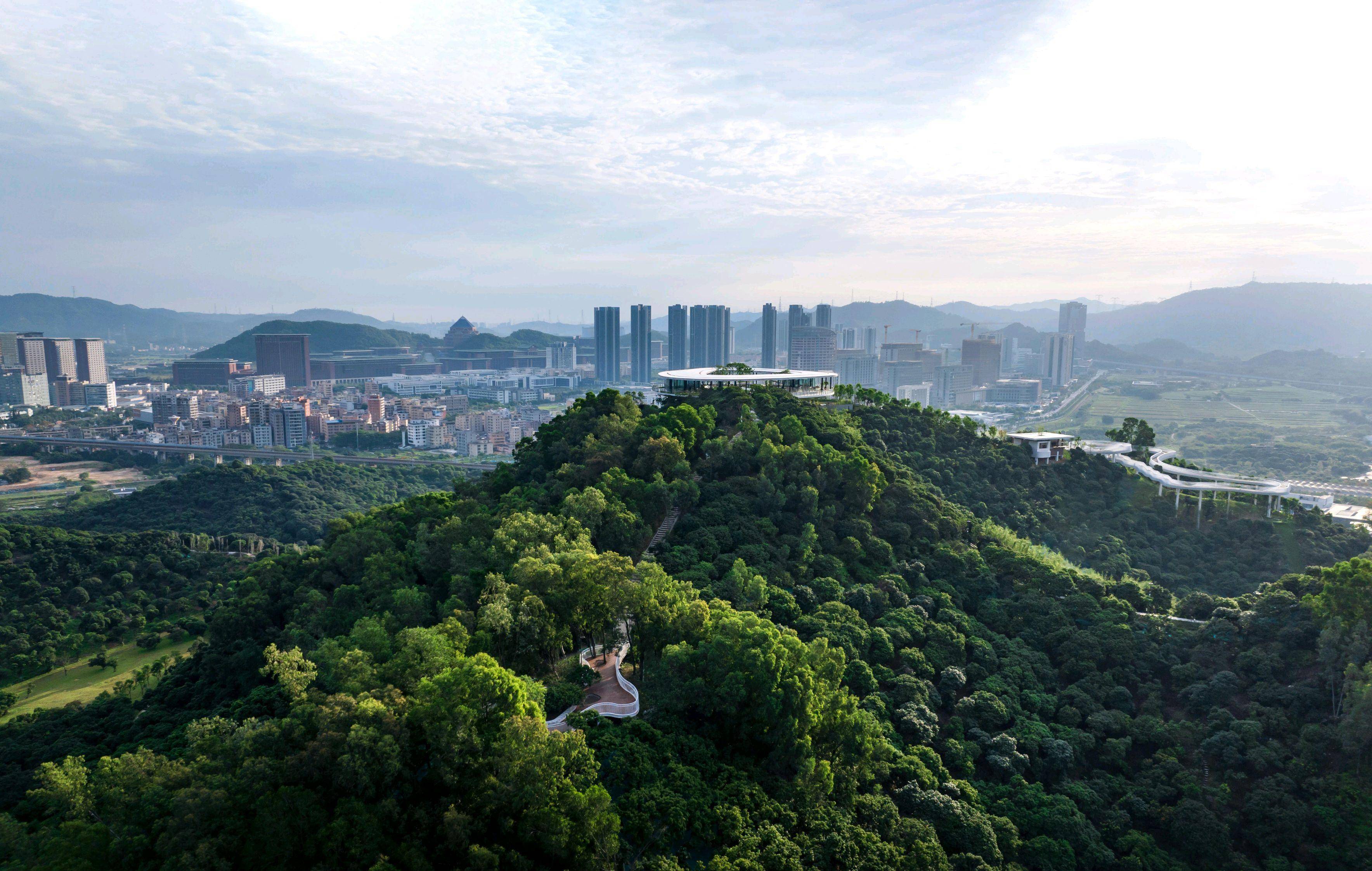 深圳网红公园上新,就在这个区,网友直呼"太好出片了"