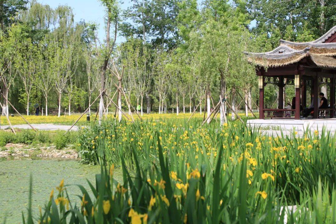 据介绍,公园入口处栽植了山杏,山桃,海棠,玉兰等花卉灌木,开花时节