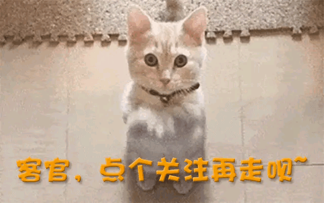 演员张瞳：娶了中国首位女子世界冠军为妻，晚年孤苦伶仃 84岁病逝