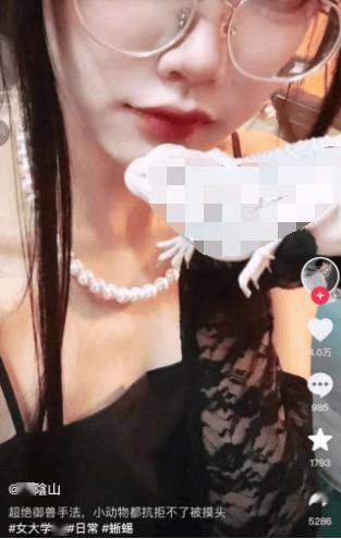 喜欢摸小动物头的抽象女大,只有戒涩吧老哥才懂她的含金量