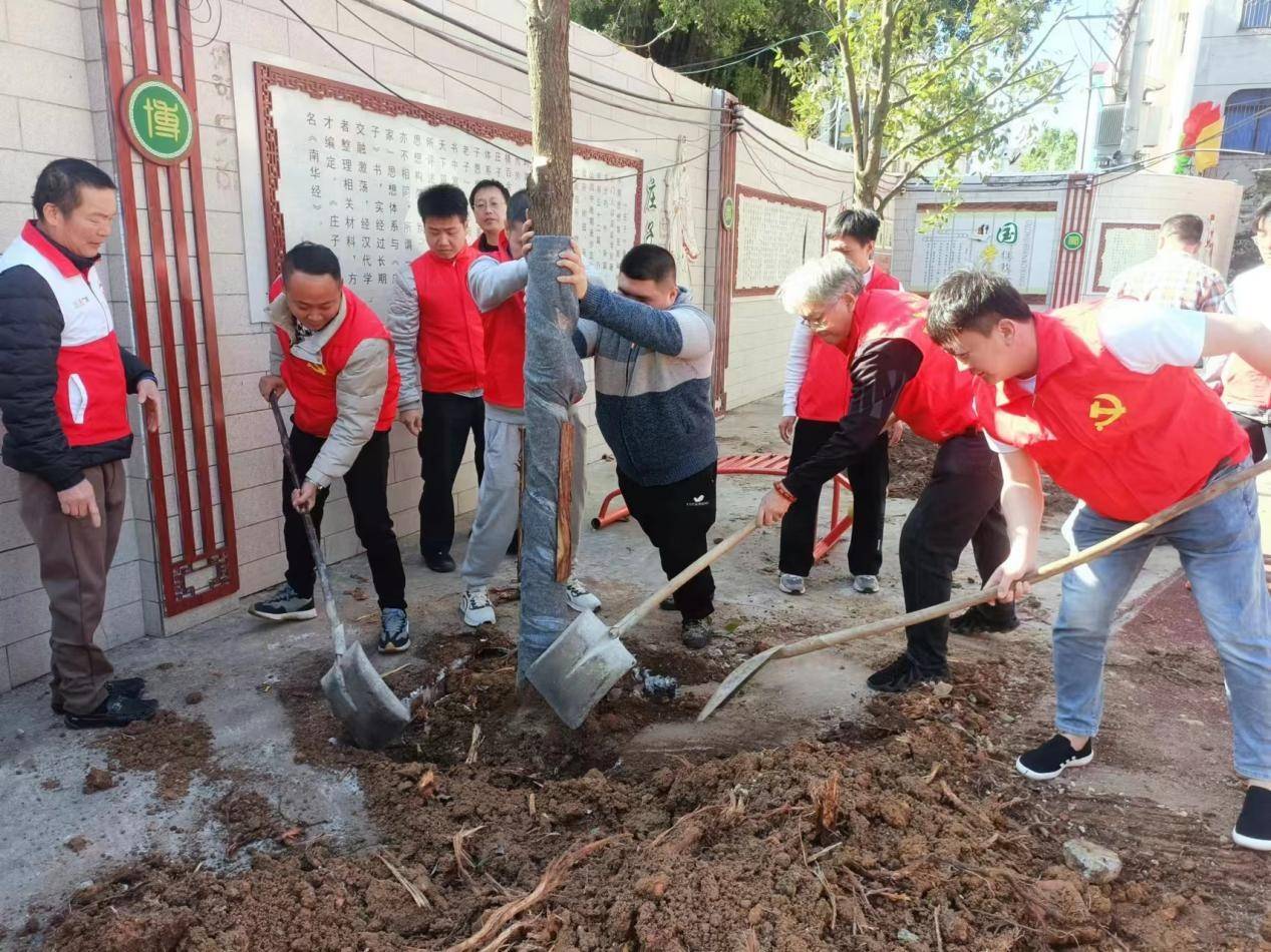 这个地方今年多栽了十倍的树,如何做到的?