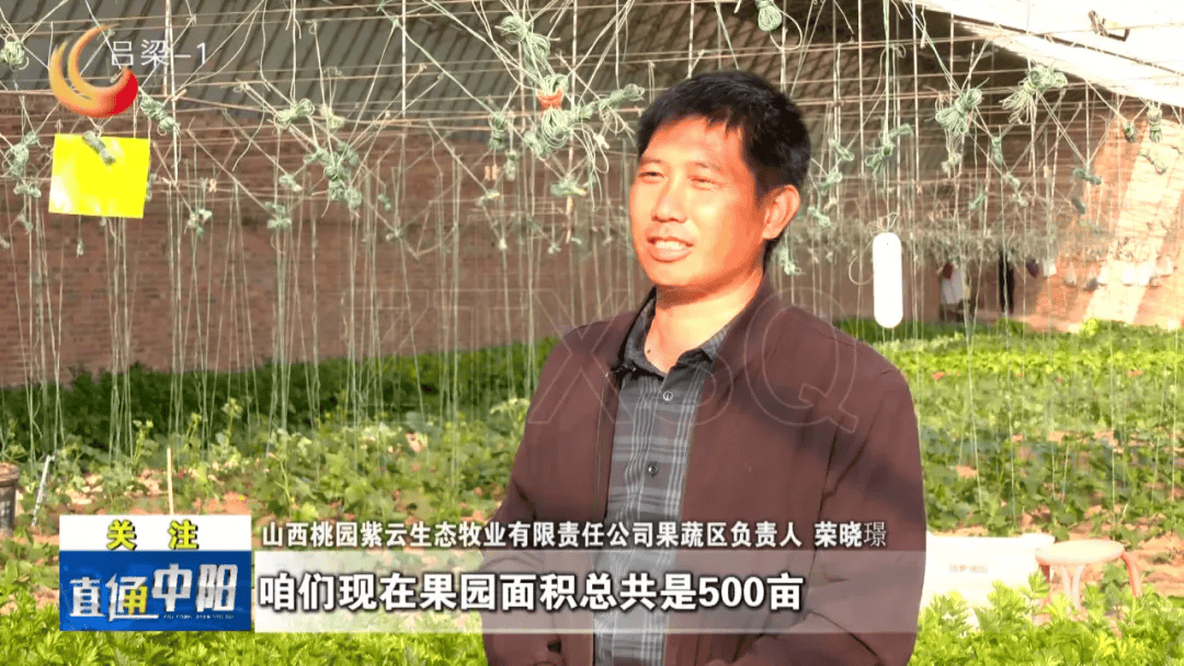 【县区】中阳:一企带富一村 一业盘活一地