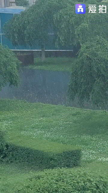 哈市发布暴雨黄色预警:未来6小时全市暴雨