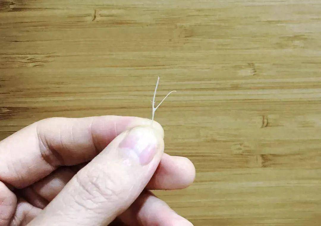 鱼刺卡在喉咙里,别再喝醋吞米饭了!教你2招