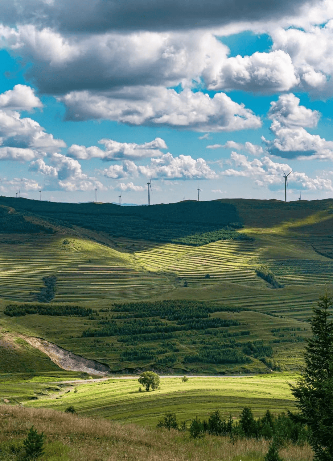 解锁草原天路新玩法这十条线路就够了!