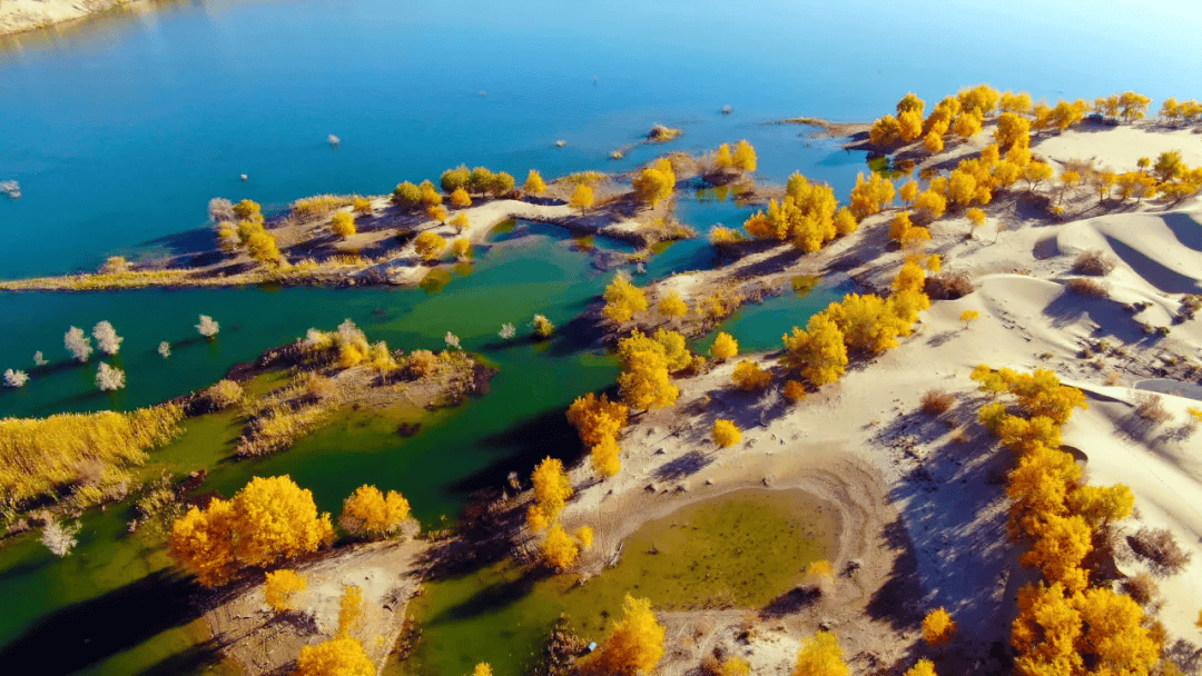 古尔邦节巴州旅游攻略,助你畅游无忧!