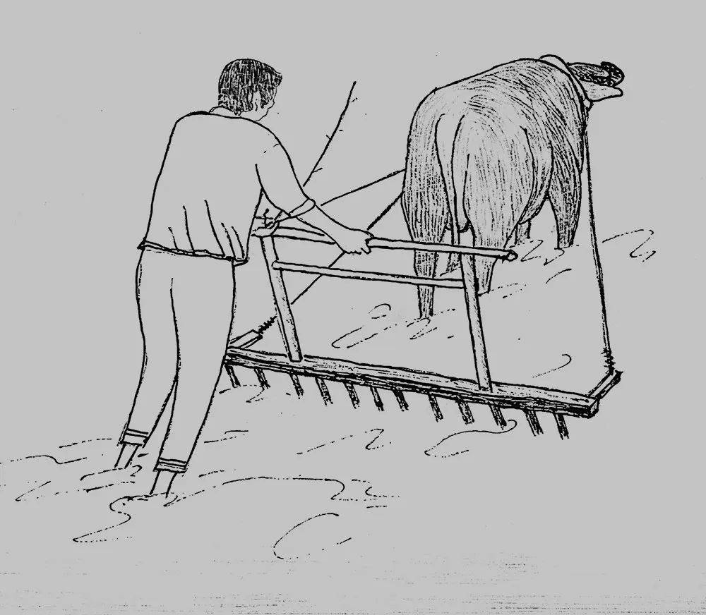 王丰｜耖_淳安_泥土_水田