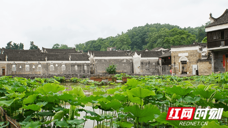 人民政协报:2024澳门精准正版资料大全-湖南紧邻湘江的景区，内部曾有我国教育文化的象征的书院