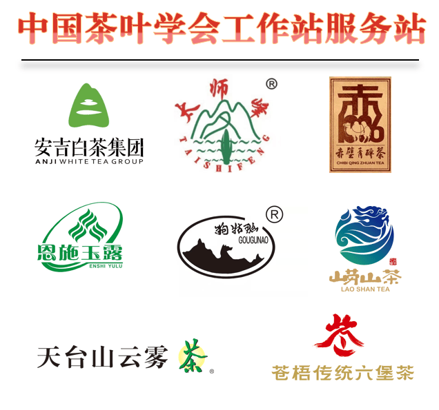 国际茶日 | 2024年国际茶日暨第十六届全民饮茶活动集锦（第三波）
