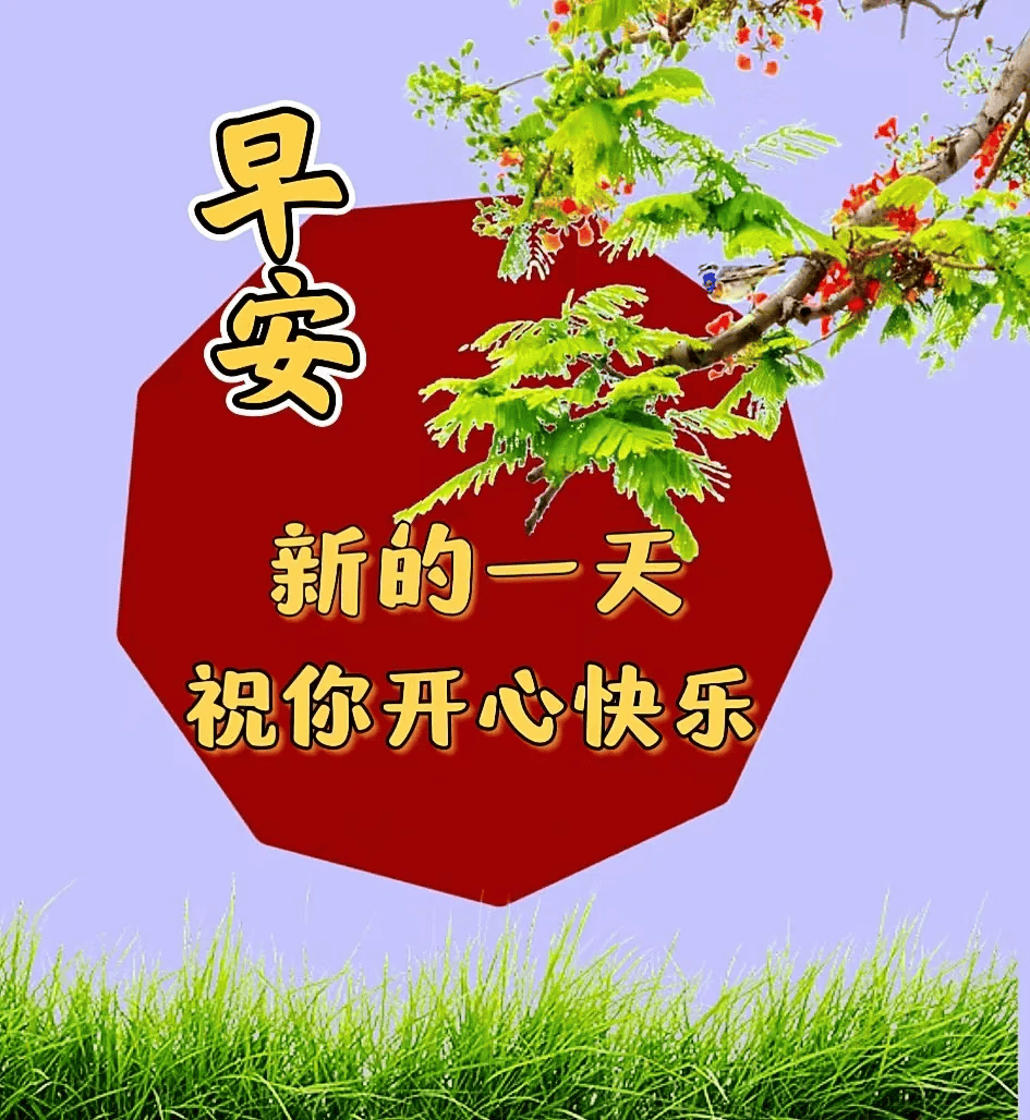 2024年6月17日最新早上好祝福语图片大全 精选早安问候祝福图片带字