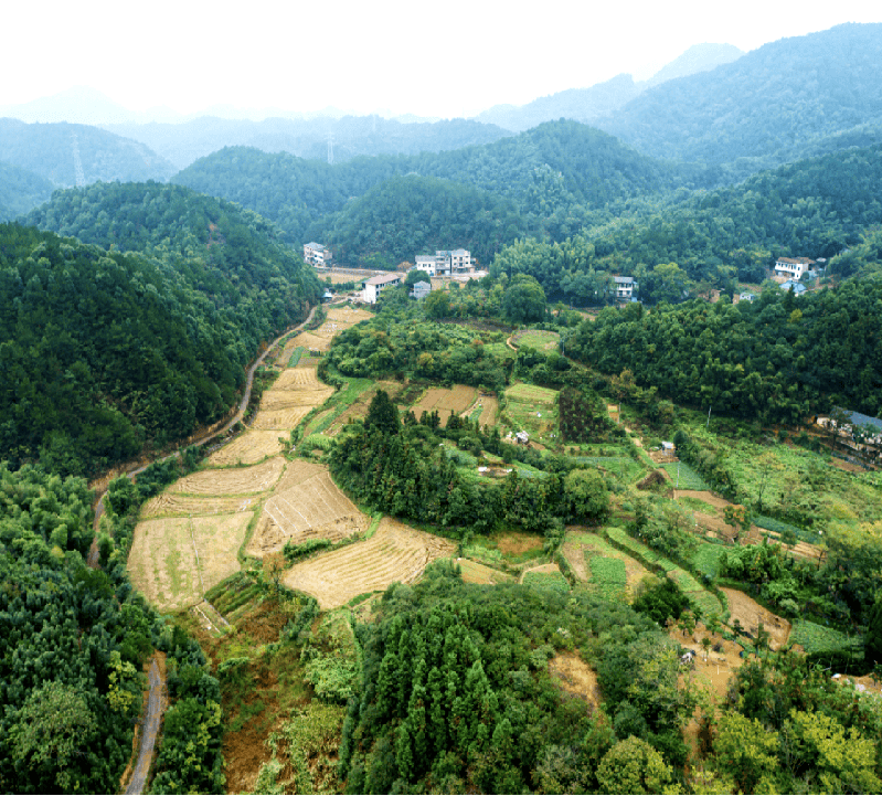 常山县天马街道图片