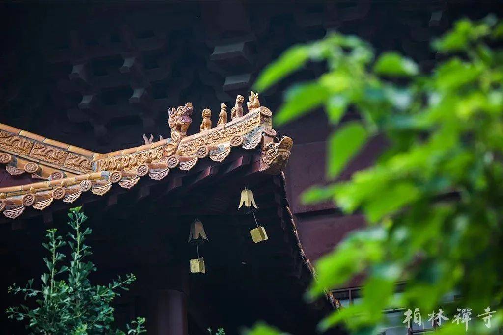 《六祖坛经讲记》般若品 || 第八讲 ③ 什么是“无念”?_智慧_全集_三昧