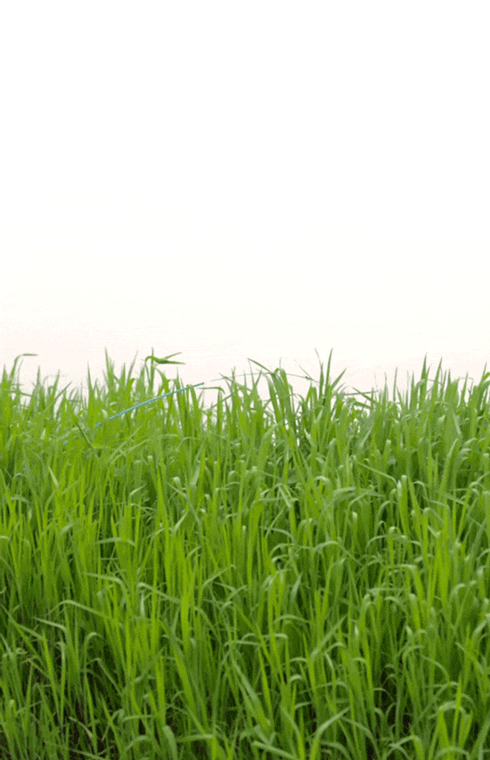 550_853竖版 竖屏gif 动态图 动图