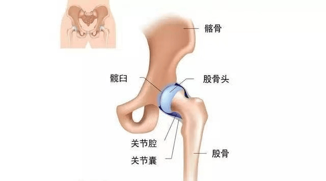 技术前沿 我院骨科成功施行高难度的髋关节翻修手术