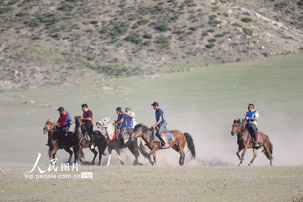 新疆阿勒泰举办草原叼羊活动