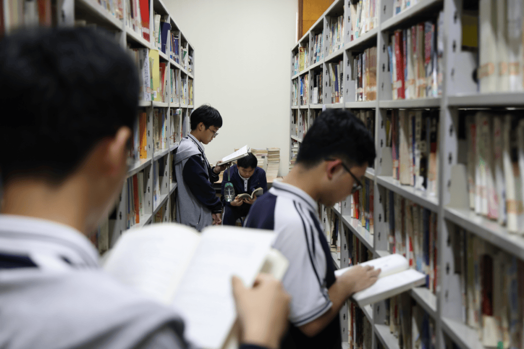陪读团宠为你消解学习的疲劳打菜窗口品种繁多的菜肴和食堂阿姨们那句