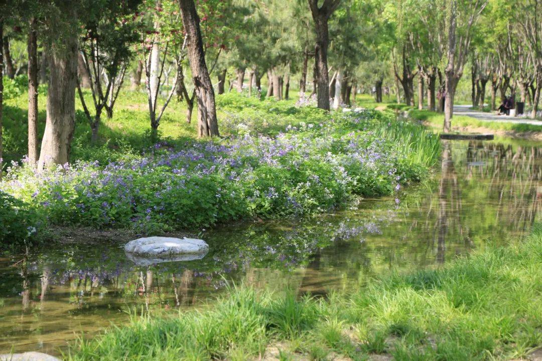 走起~来海淀这个新晋网红打卡地!