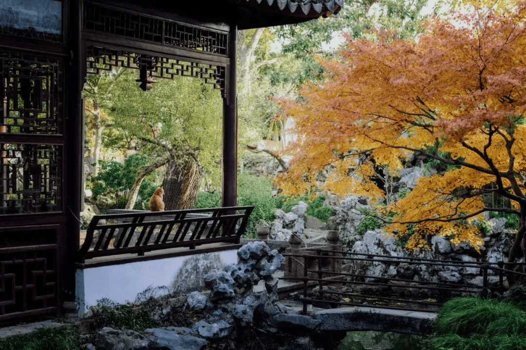 月底开通!出站即园林_苏州市_地址_姑苏