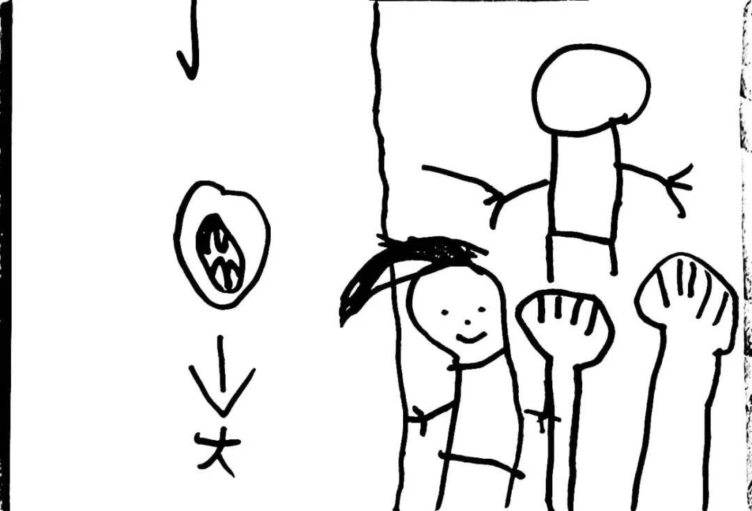 简笔画 手绘 线稿 1080_734