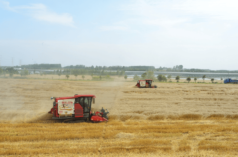 长丰县:"大路模式"推广至50个村03在长丰县杨庙镇大路村,数台收割机