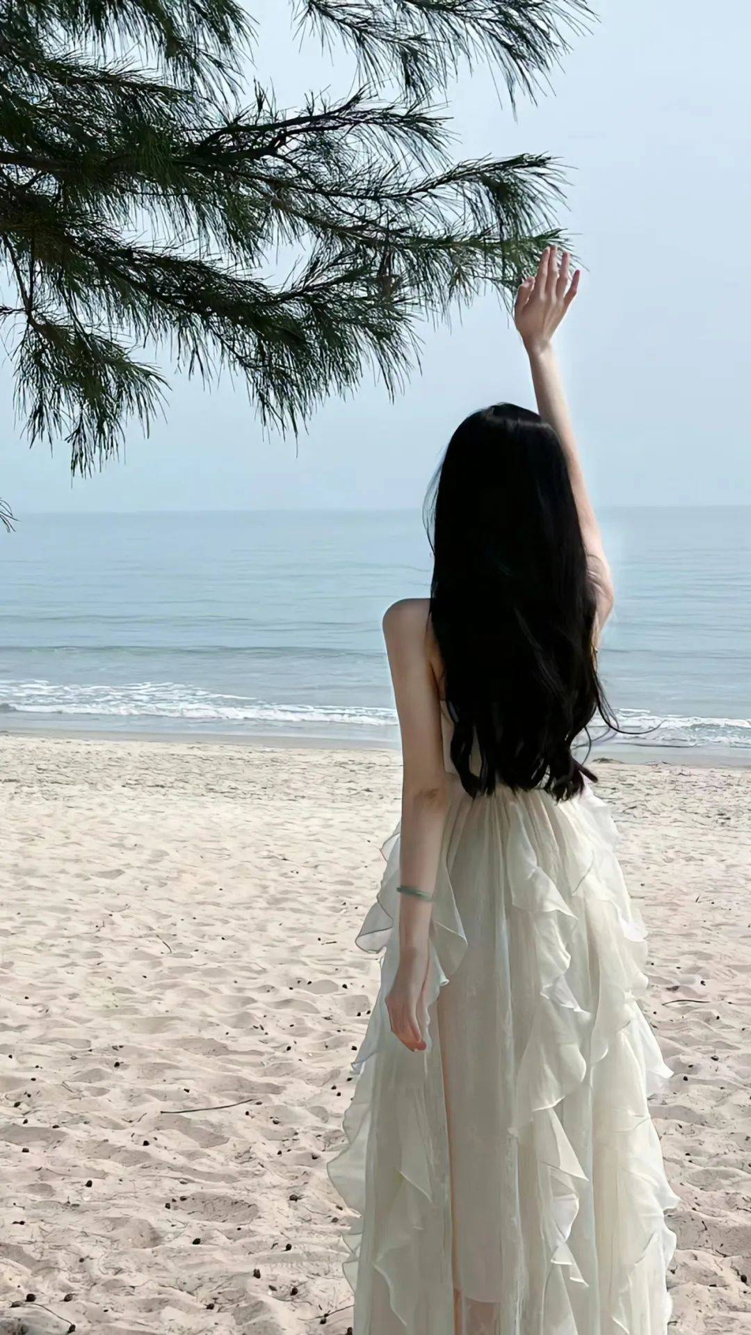 循环歌单 【一百万】 【鸟你干什么呢】【一百万の小曲】