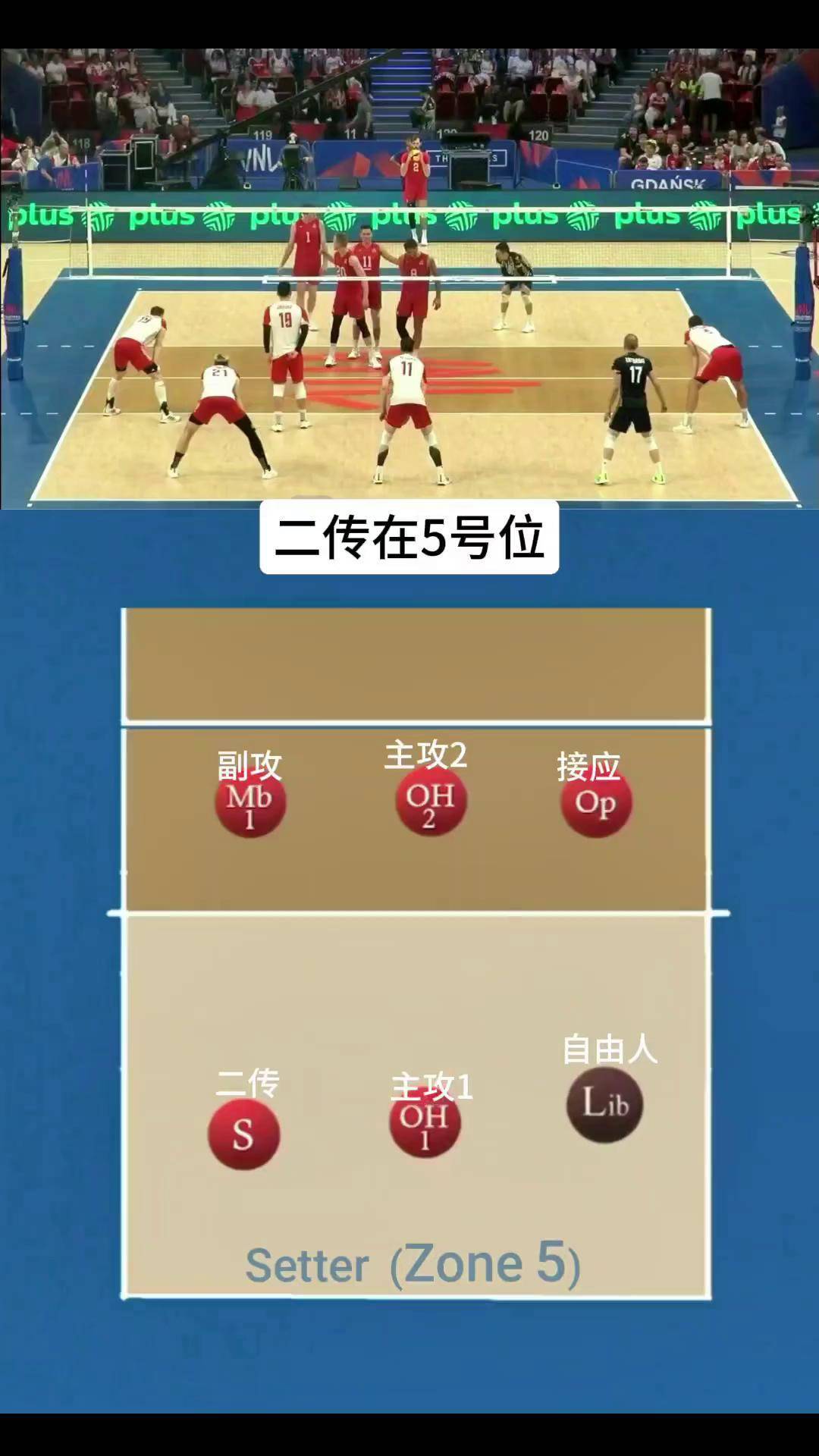 排球 排球 二传 排球站位