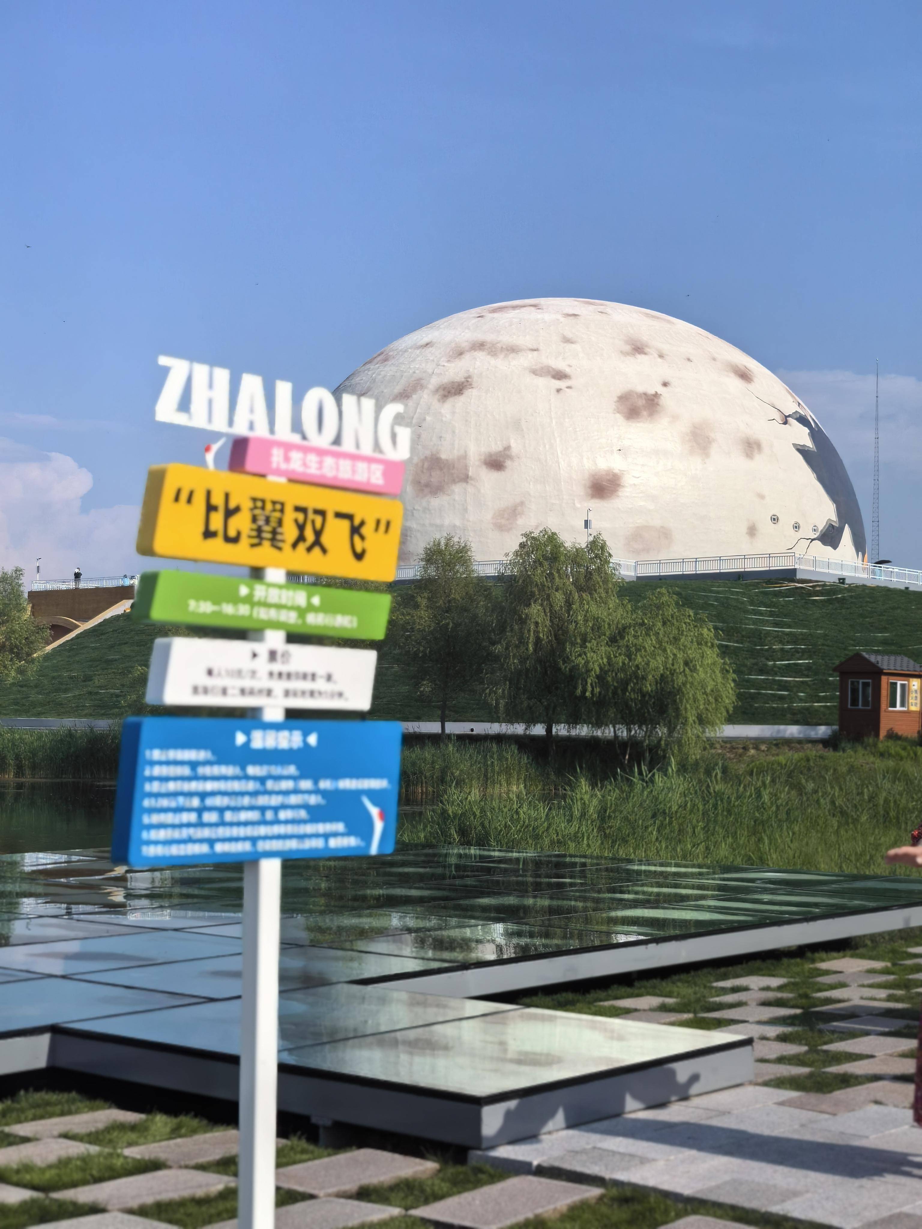 经济视点|新产品,新线路,新业态,新政策涌现→为龙