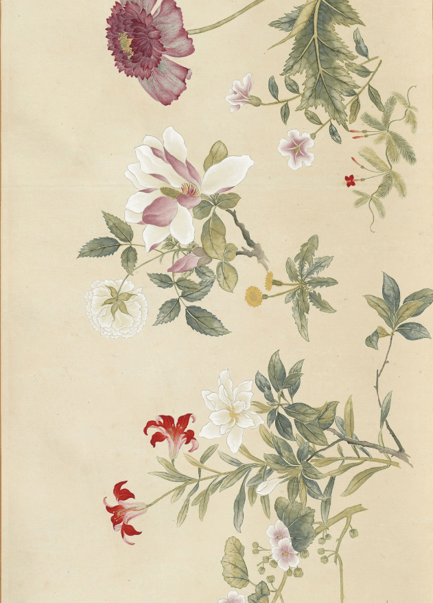 这花卉长卷,富丽清新