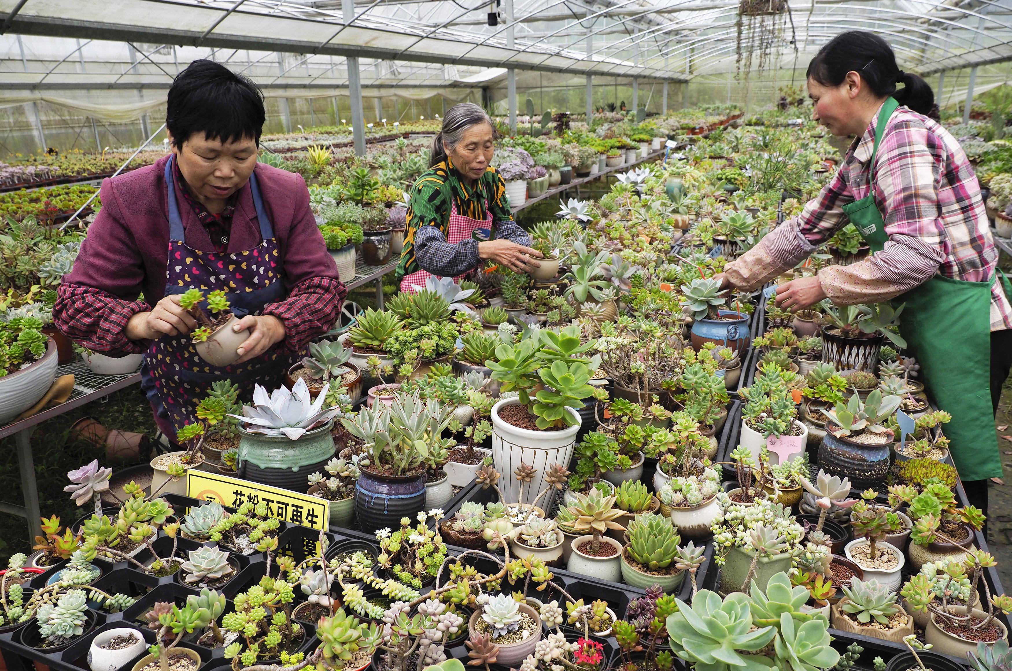 新华社发(李肃人 摄)