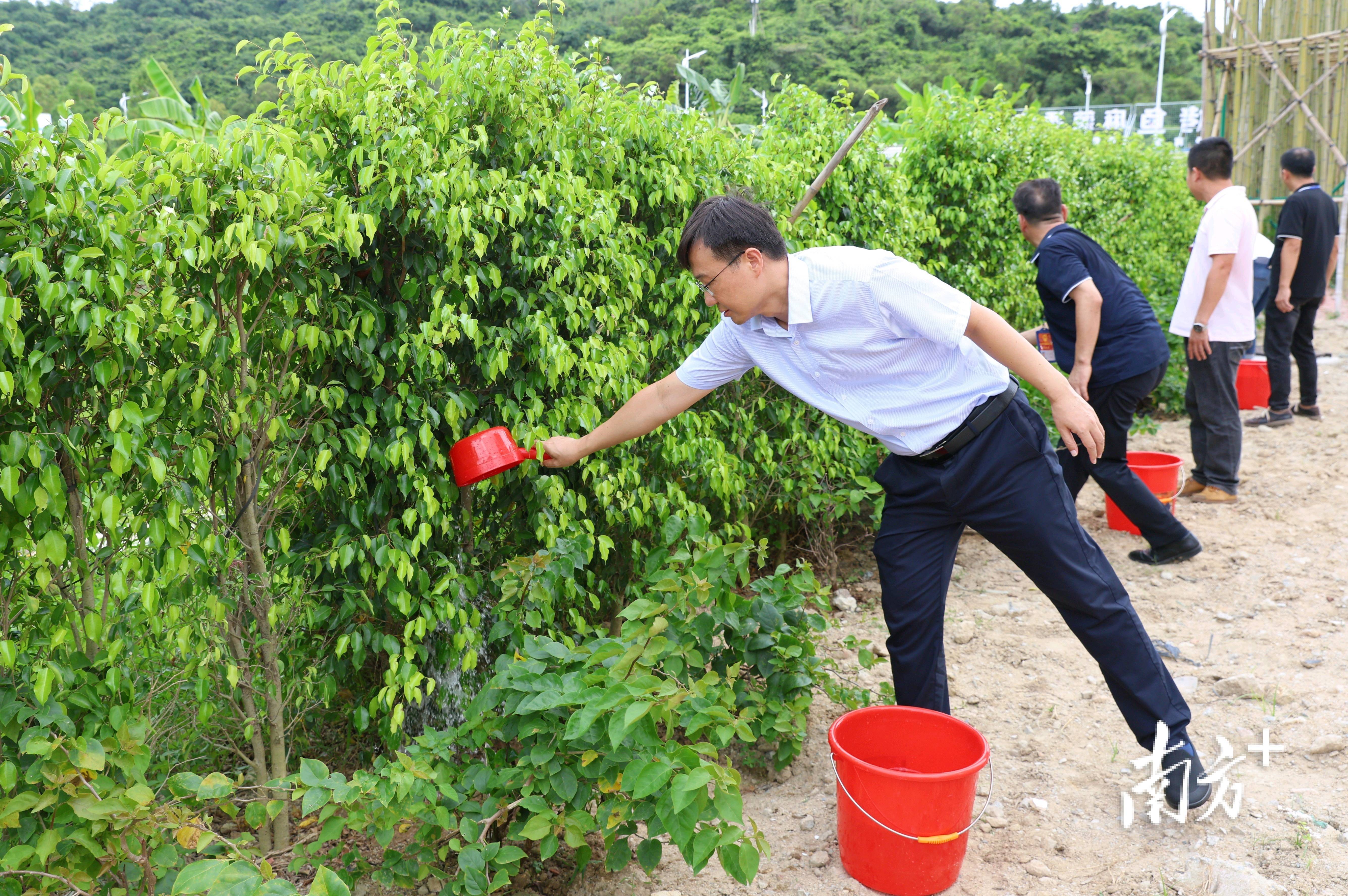 绿色能源为村集体每年增收200万元在三灶镇鱼林村,金湾区委副书记