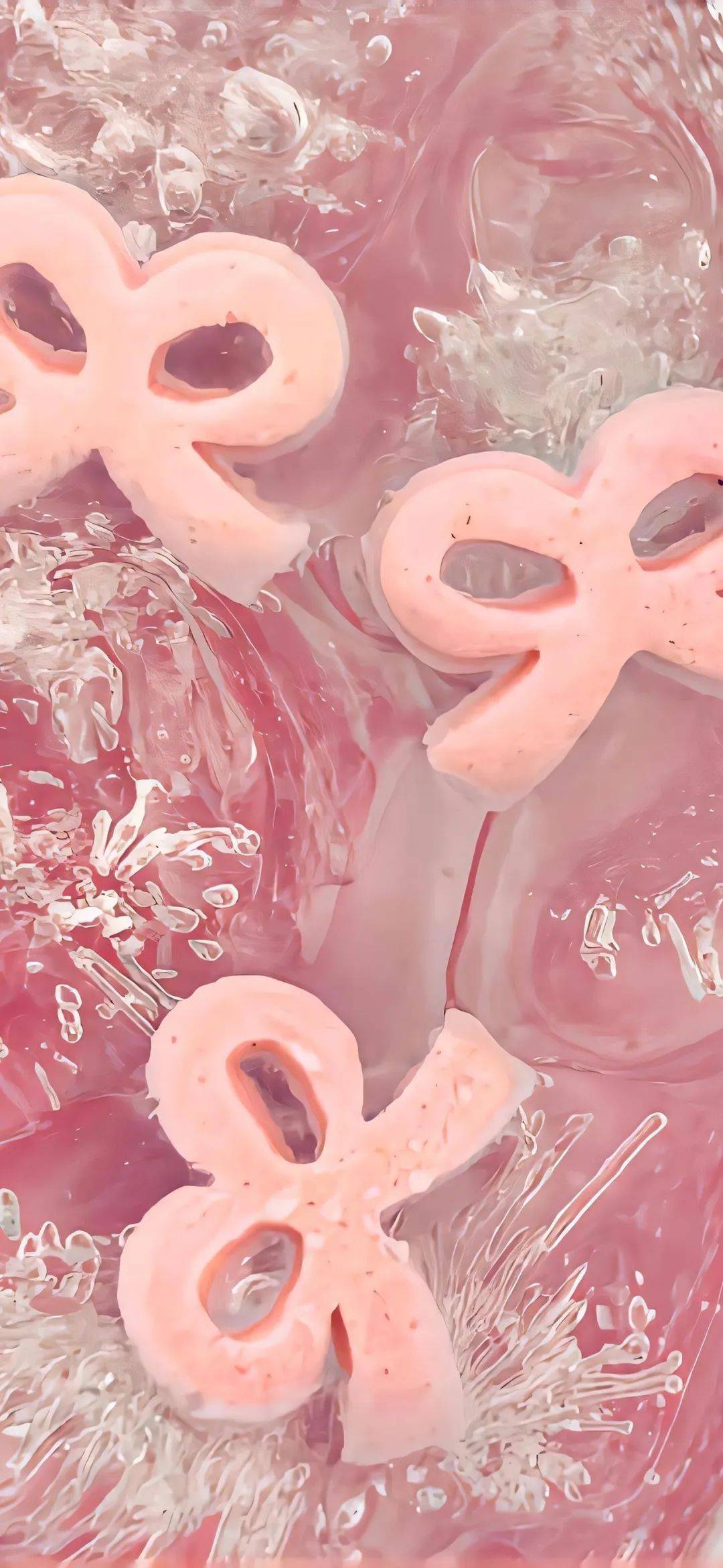 壁纸 | 高清粉色系治愈壁纸