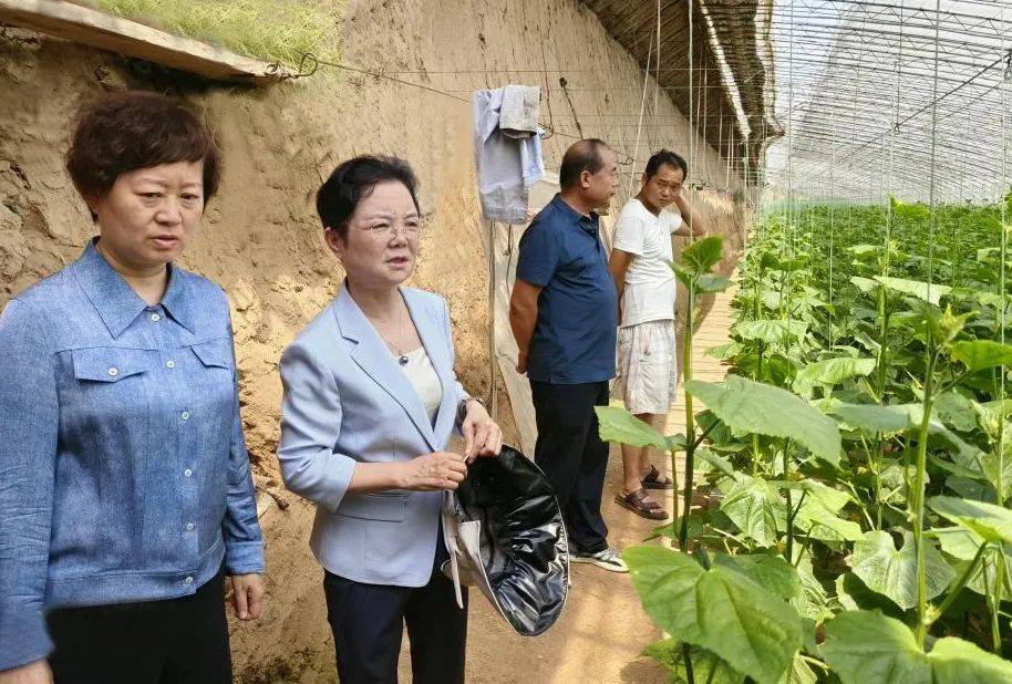 孙矿玲在渭南市调研时强调:突出"千万工程"引领 加快推进重点任务落实