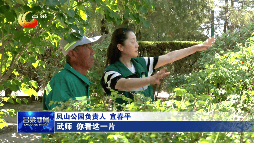 🌸华夏经纬网【新澳门资料大全免费】_“一路一策” 南岸区城市管理局有序推进城市道路隔离设施规范整治工作