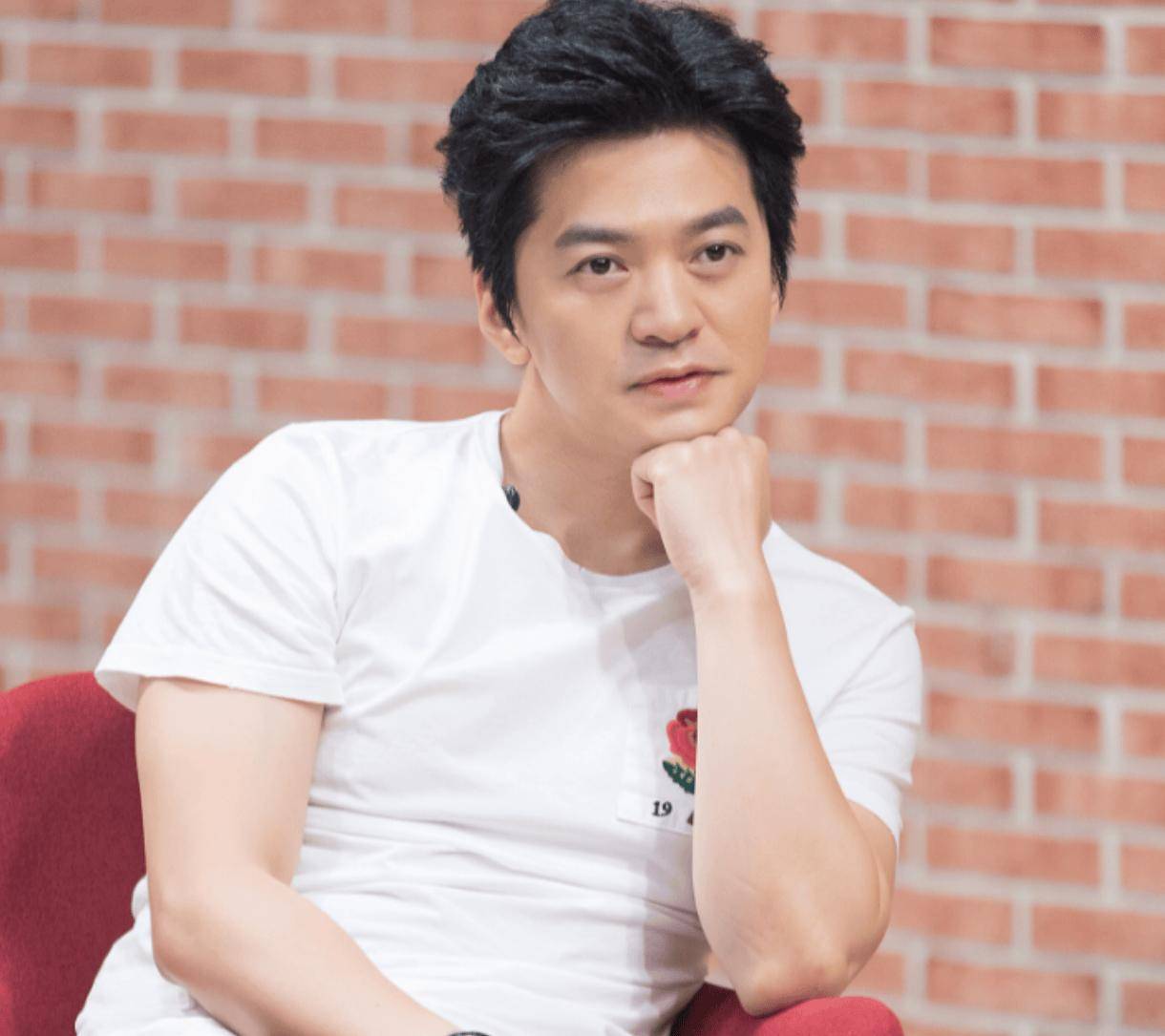 不生孩子不买房?50岁的李健,终究以这样不"体面"的方式收场了