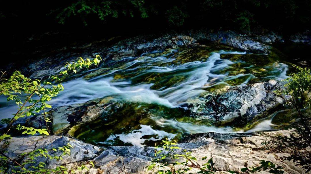 黄柏塬-太洋公路-青峰峡 | 这条天花板级别的避暑路线终于藏不住了!