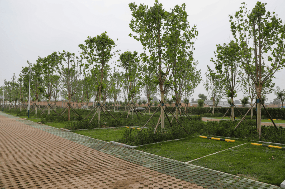 选择了集停车,绿化,蓄水等功能于一体的hdpe绿化植草格建设车位,平整