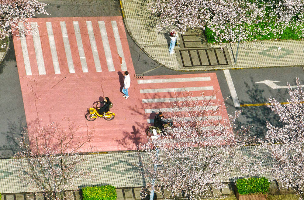 🌸【管家婆一肖一码100%准确】🌸_北京、上海、张家界等城市还有余票，活禽散装酒不能带上高铁