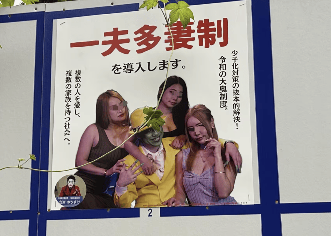 竞选_河合_日本