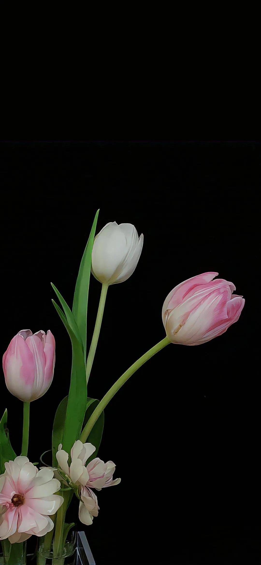 壁纸 | 高级感拉满𝙒𝙚𝘾𝙝𝙖𝙩黑色系壁纸 ​​​