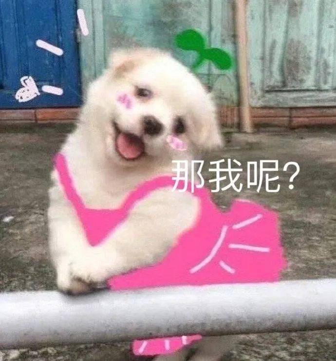 bt污污表情包_公众_文章_熊猫头